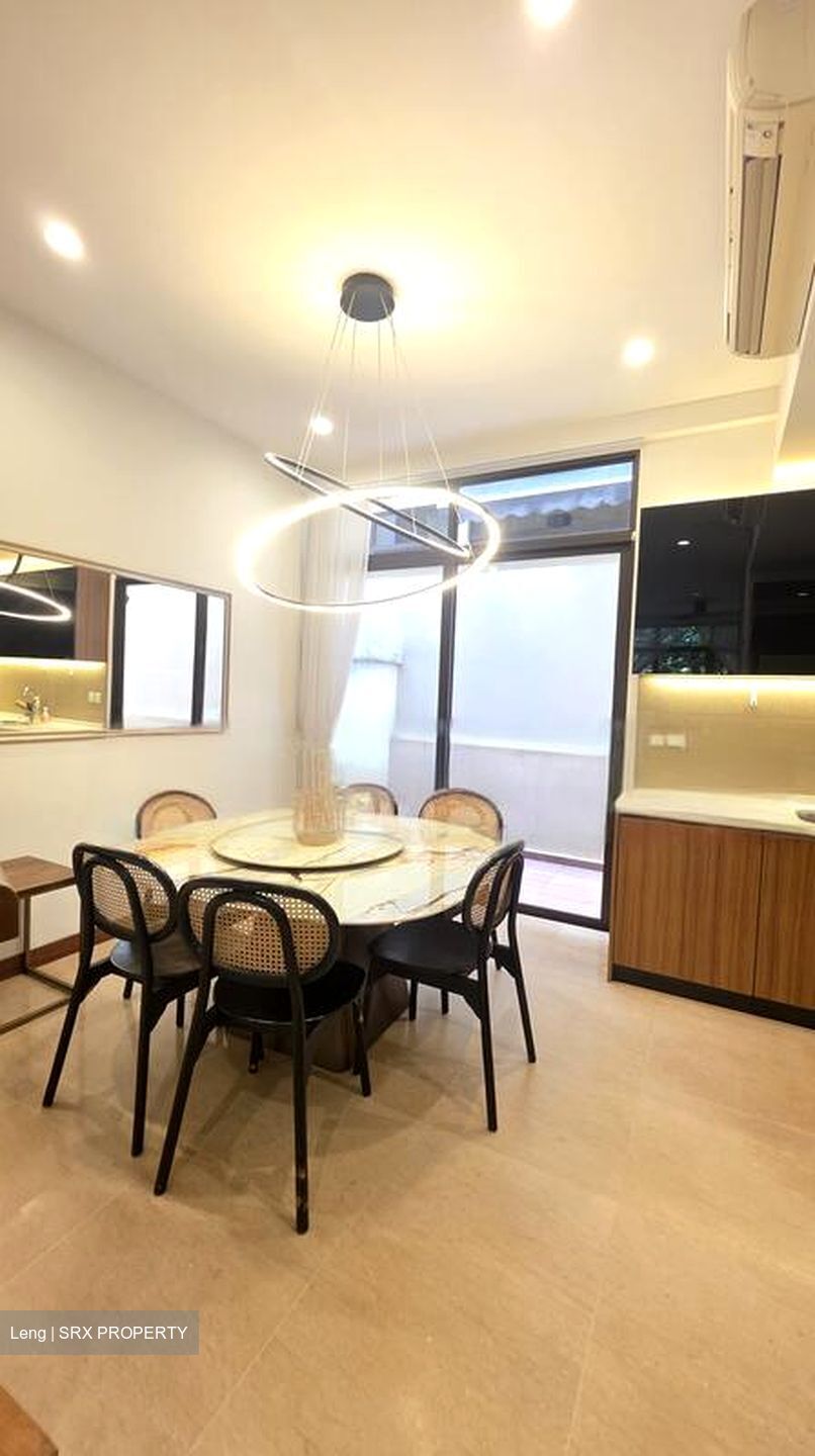 Holland Link (D10), Terrace #466827181